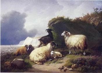 unknow artist Sheep 157